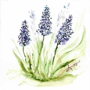 Meet your Posher, Susan